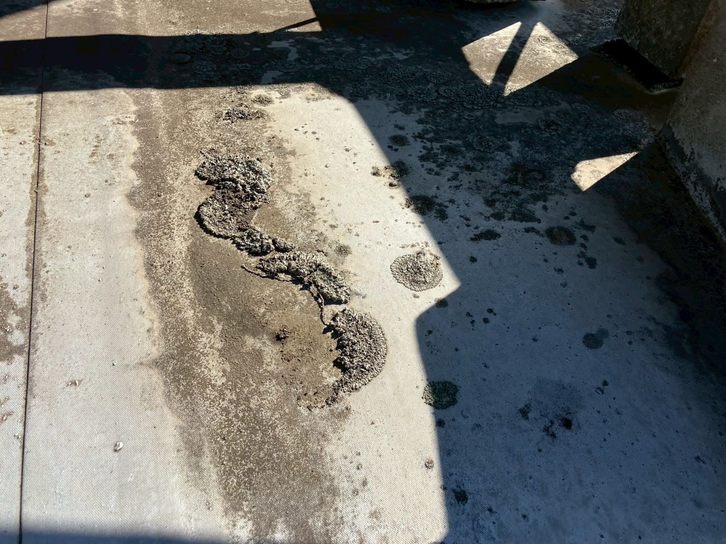 RC造3階建の屋上防水が劣化！？ドレン詰まりやシート浮きから考える外装改修のタイミング